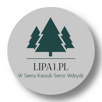 Wczasy Wdzydze